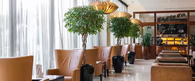 Radisson Blu Addis Ababa indoor plant lobby lounge — biophilic design elements